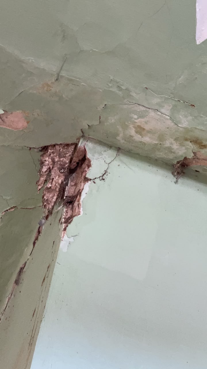 Registro da Capela Nossa Senhora Aparecida — foto 20